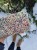dce5ddb14bb9abae6b0e737c3796.jpg